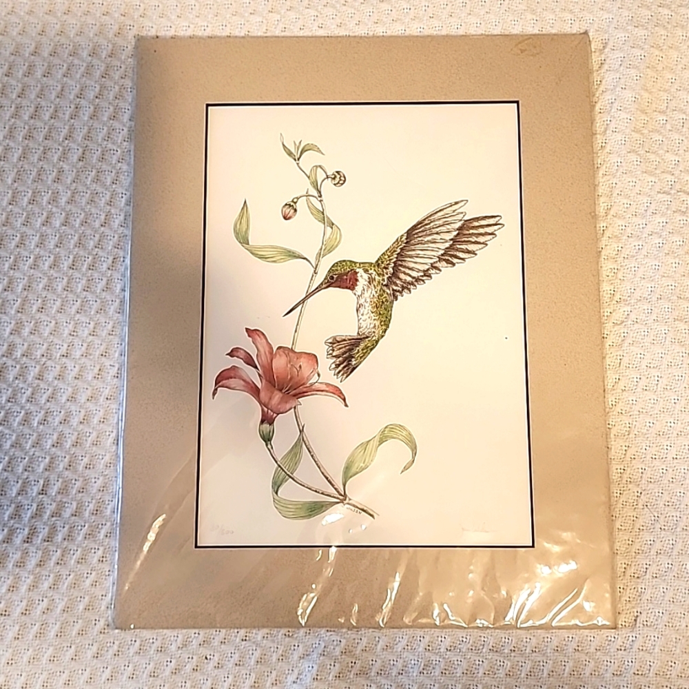 New matted  hummingbird drawing